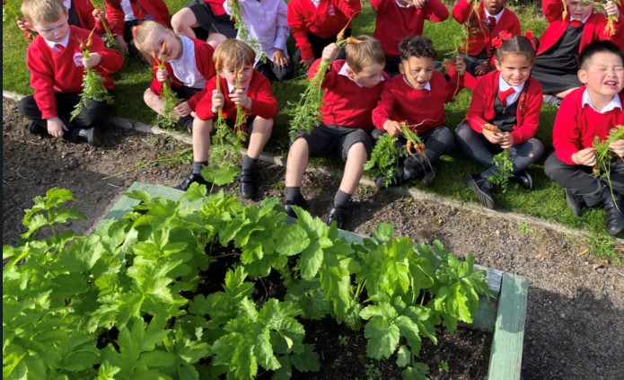 Children in red jumpers sitting outside by a vegetable patch playing with carrots.